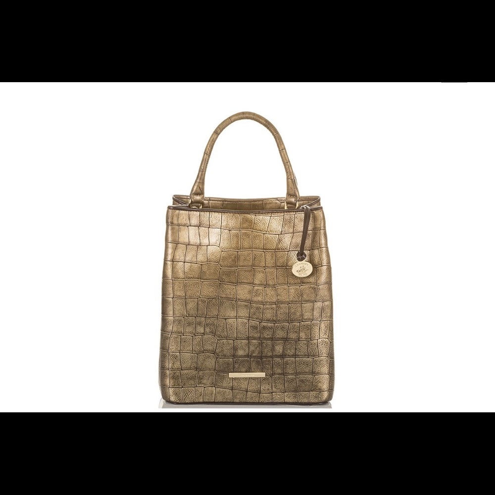 👜👜👜 Brahmin Amelia Bronze Templo